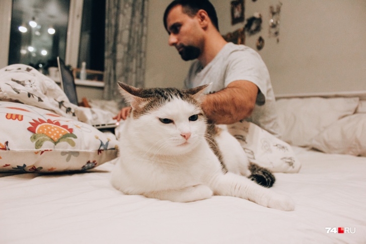 Даже котиков возмущают шумные соседи Даже котиков возмущают шумные соседи