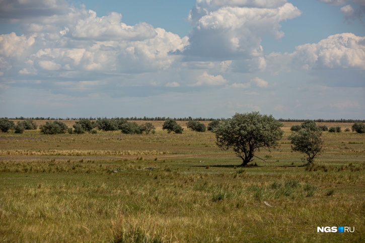 Озеро Бурсоль находится в Кулундинской степи