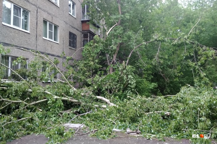 Деревья ломались и падали на автомобили, перекрывали дороги Деревья ломались и падали на автомобили, перекрывали дороги