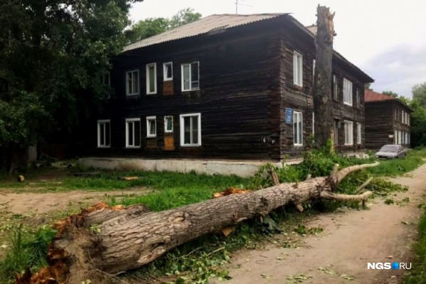 Следователи определяют круг виновных Следователи определяют круг виновных