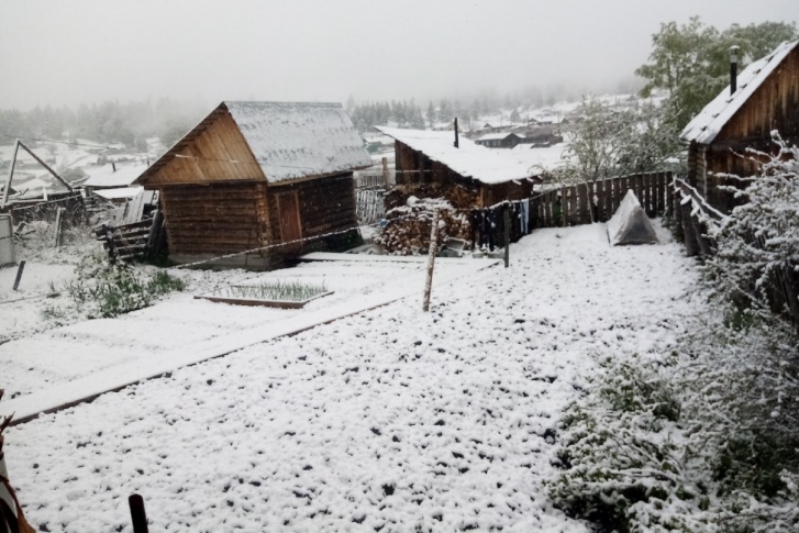 Настоящая заснеженная пастораль Настоящая заснеженная пастораль