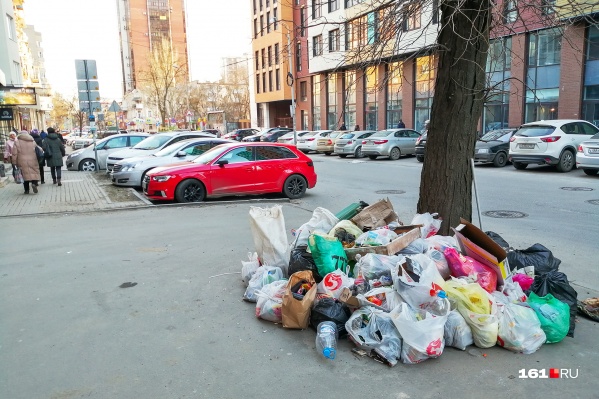В начале 2020 года в Ростове выявили 38 свалок В начале 2020 года в Ростове выявили 38 свалок