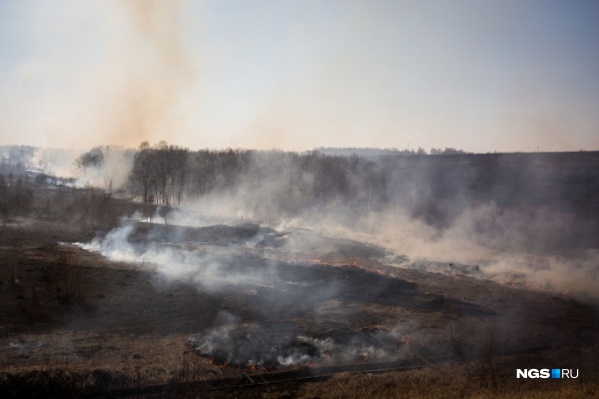 В этом году ландшафтные пожары затронули несколько районов Новосибирской области В этом году ландшафтные пожары затронули несколько районов Новосибирской области