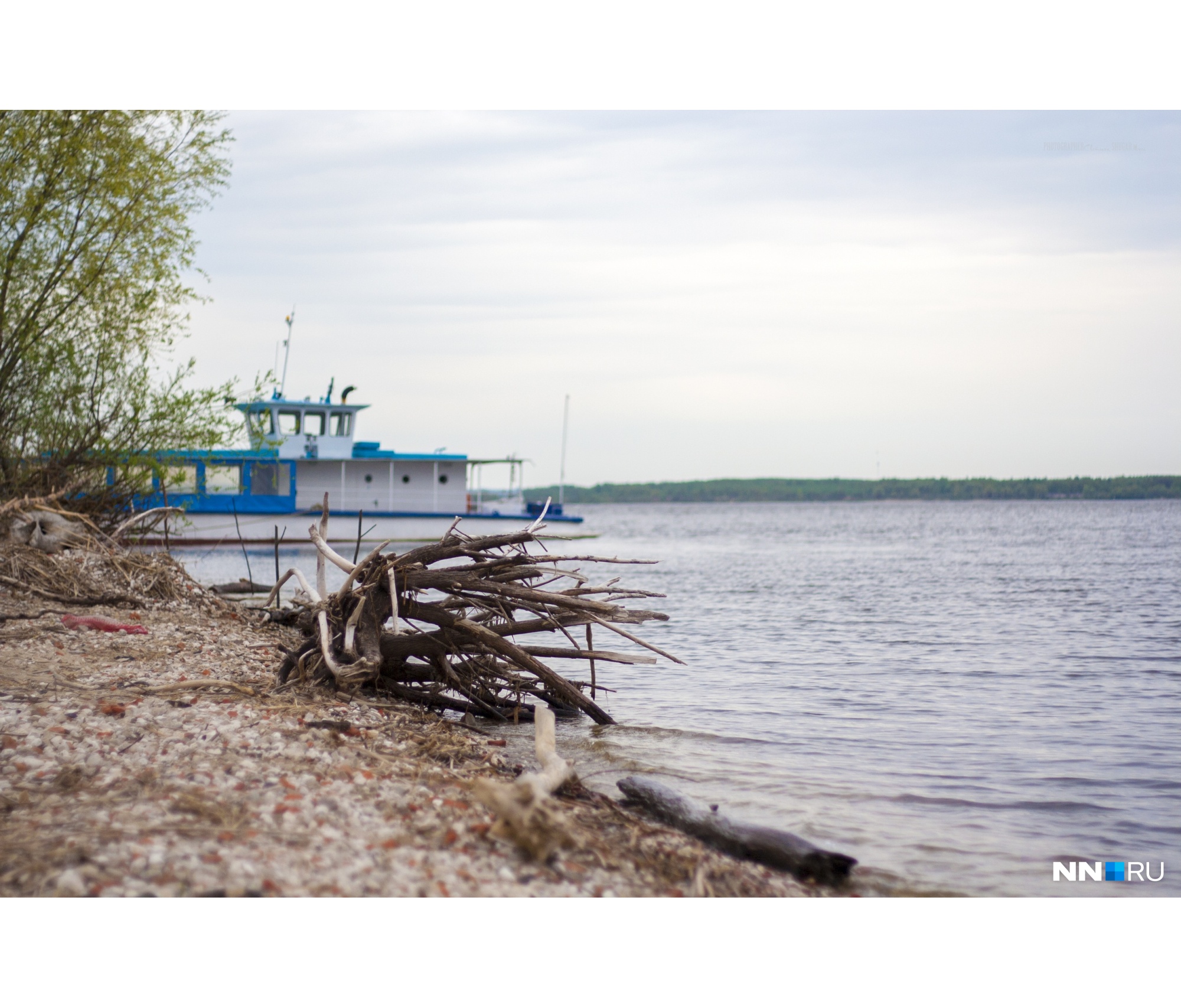 На берег постоянно выносит фактурные, отшлифованные водой, коряги На берег постоянно выносит фактурные, отшлифованные водой, коряги