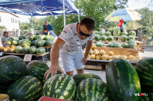 Также бахчевые будут продаваться на рынках и ярмарках Также бахчевые будут продаваться на рынках и ярмарках
