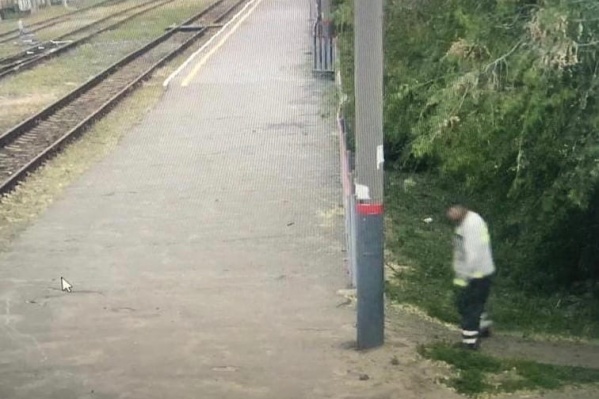 Преступление произошло на несколько метров правее от места охвата камерой видеонаблюдения рядом с перроном урюпинского вокзала Преступление произошло на несколько метров правее от места охвата камерой видеонаблюдения рядом с перроном урюпинского вокзала