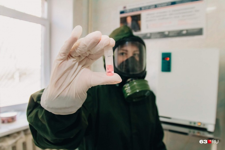 Новые тесты — новые факты заражения: в Поморье стало на 19 человек больше с коронавирусом