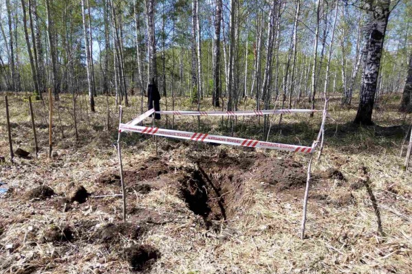 Тело пропавшего без вести нашли в тюменском лесу Тело пропавшего без вести нашли в тюменском лесу