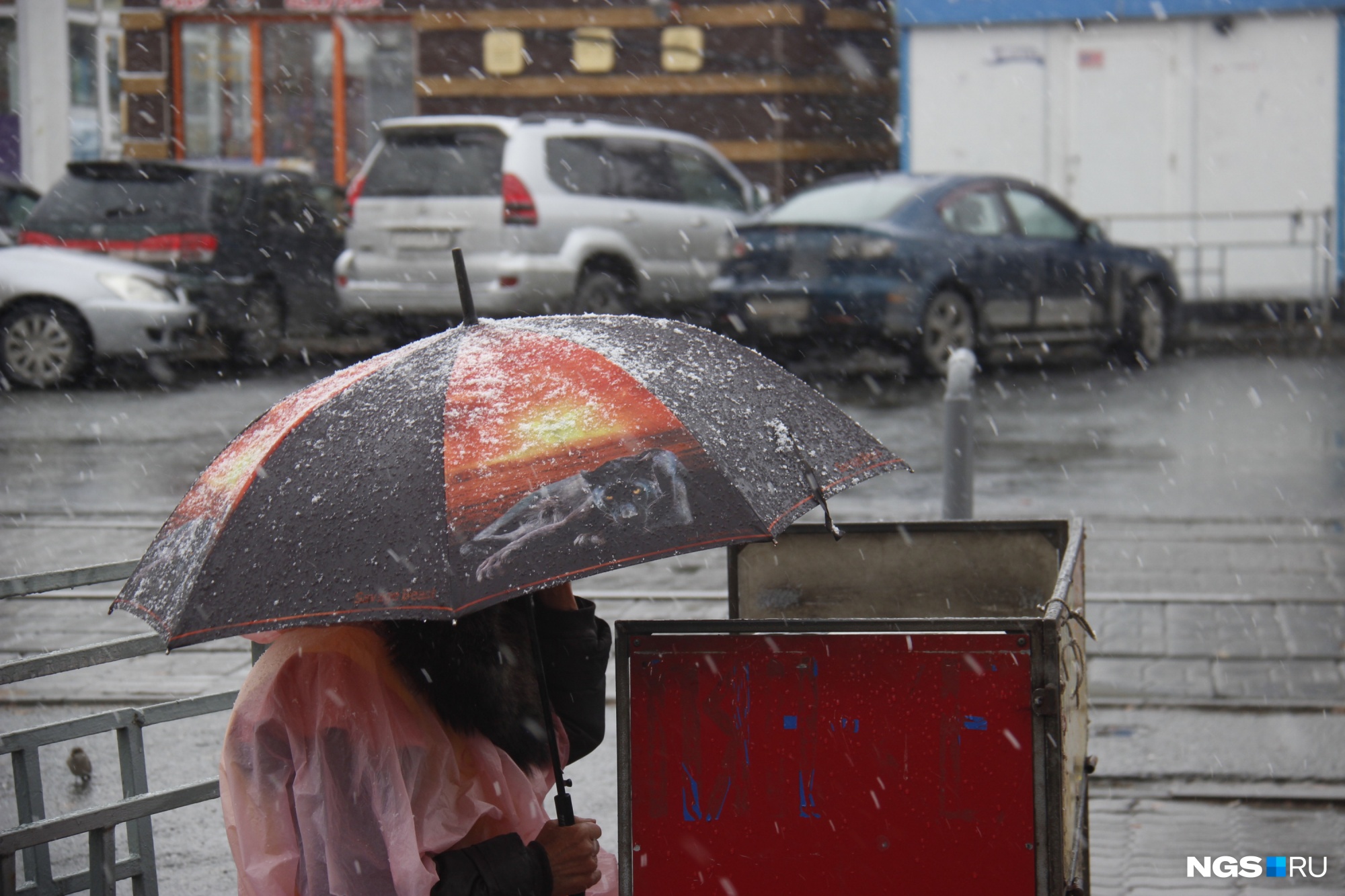 Ждать ли нам снега? Изучаем прогноз погоды в Новосибирске на ближайшую неделю
