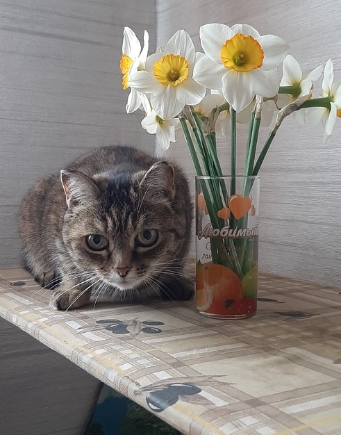 А кто хозяин этой красавицы?