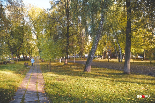 При сильном ветре лучше держаться подальше от деревьев При сильном ветре лучше держаться подальше от деревьев