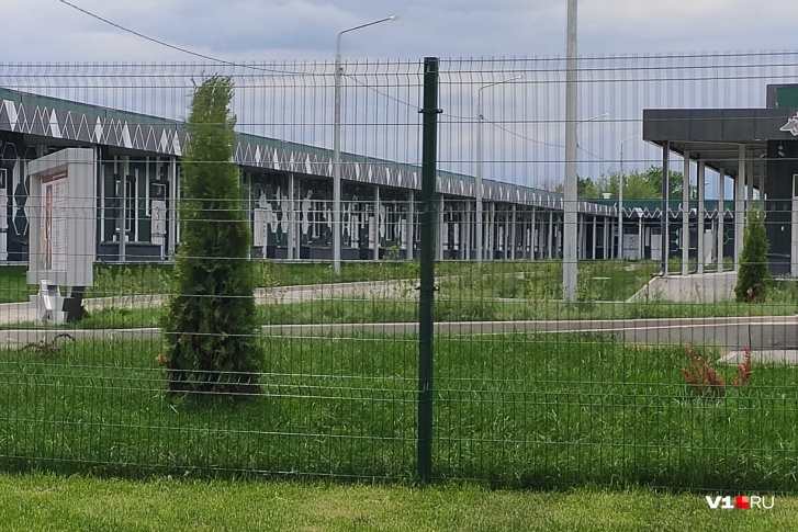 С мая успела вырасти трава, которую никто не стрижёт — некому С мая успела вырасти трава, которую никто не стрижёт — некому