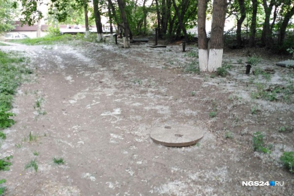 По Красноярску на месяц раньше полетел тополиный пух По Красноярску на месяц раньше полетел тополиный пух