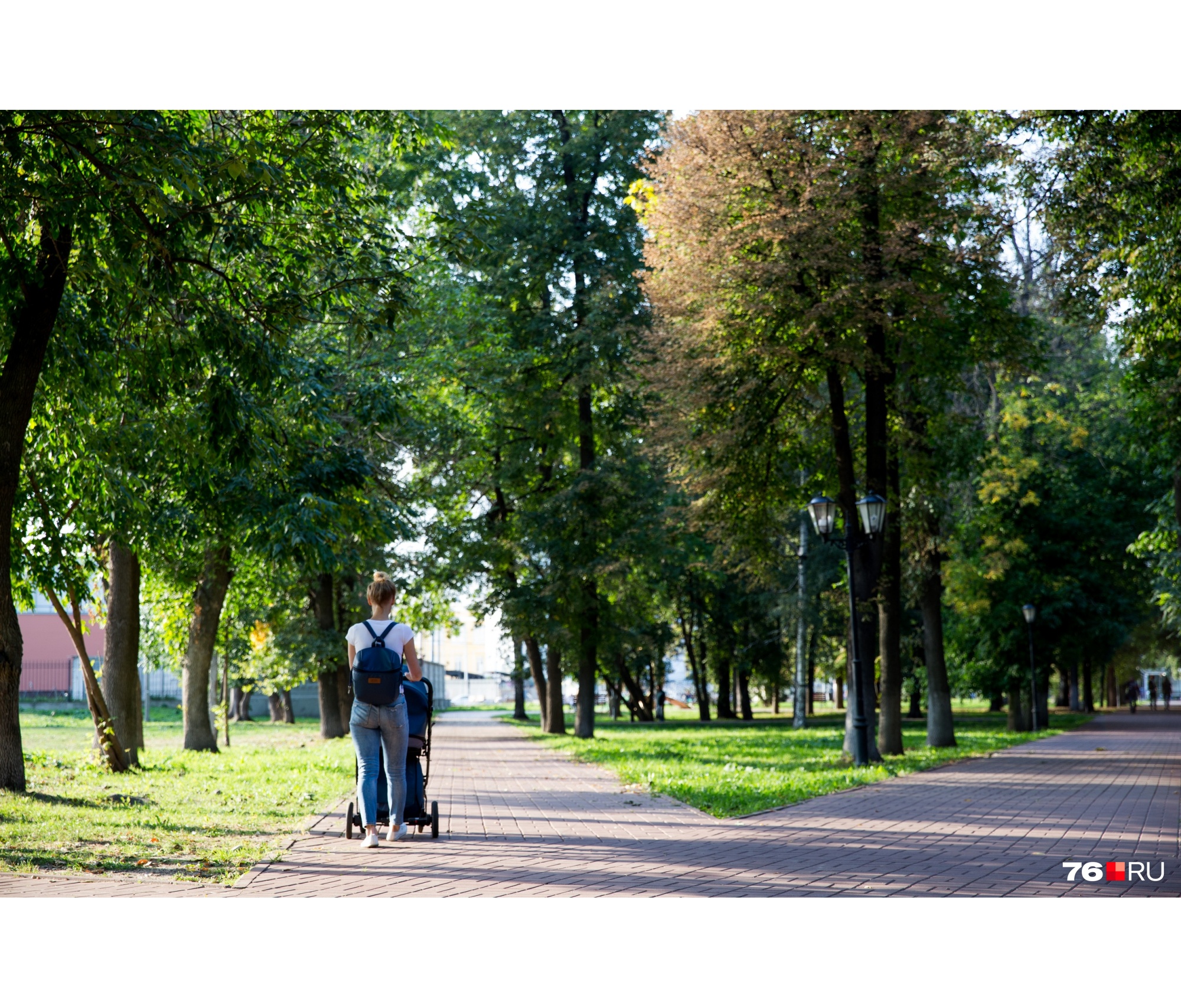 Вход в парки сделают платным: куда в Ярославской области можно будет попасть только за деньги