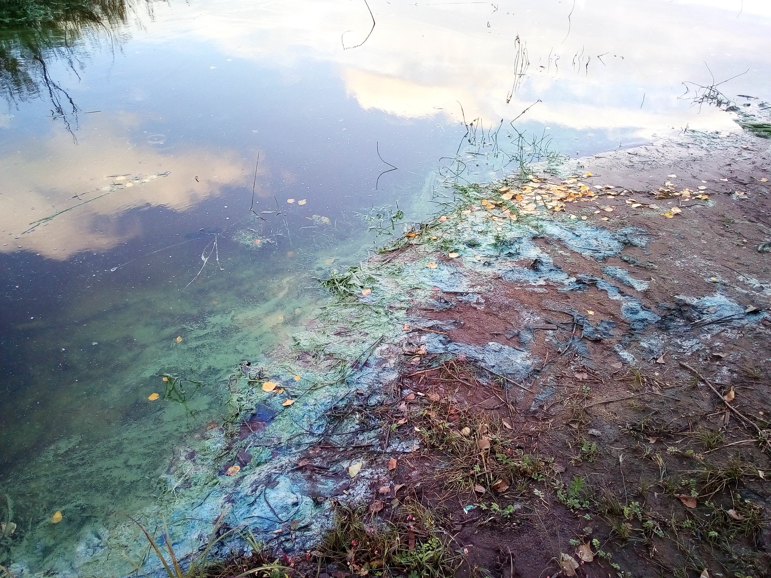 Жители Балахны жаловались на загрязнение воды летом
