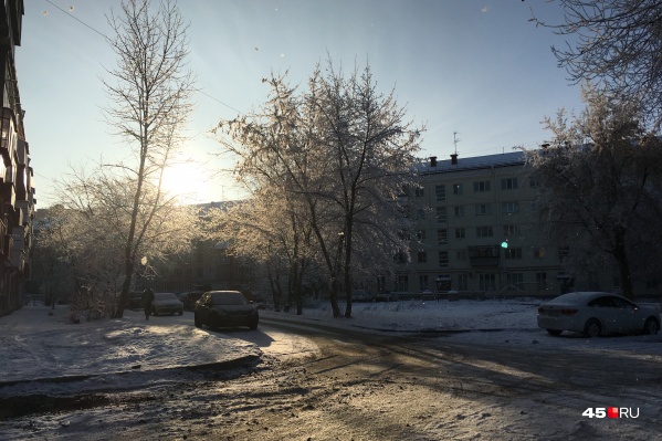 Начало зимы в Кургане стало самым теплым за 188 лет Начало зимы в Кургане стало самым теплым за 188 лет
