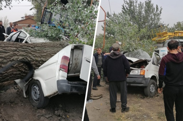 Машина была припаркована у дома, когда на нее упало дерево Машина была припаркована у дома, когда на нее упало дерево