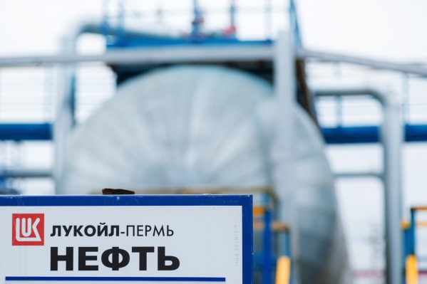 Площадь участка — 15,9 квадратного километра Площадь участка — 15,9 квадратного километра