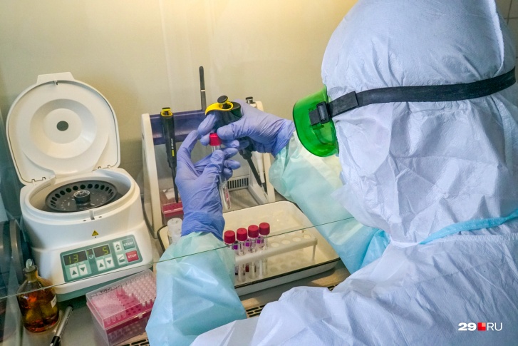 Все из-за Сальска: сразу 353 человека заразились коронавирусом в Ростовской области за сутки