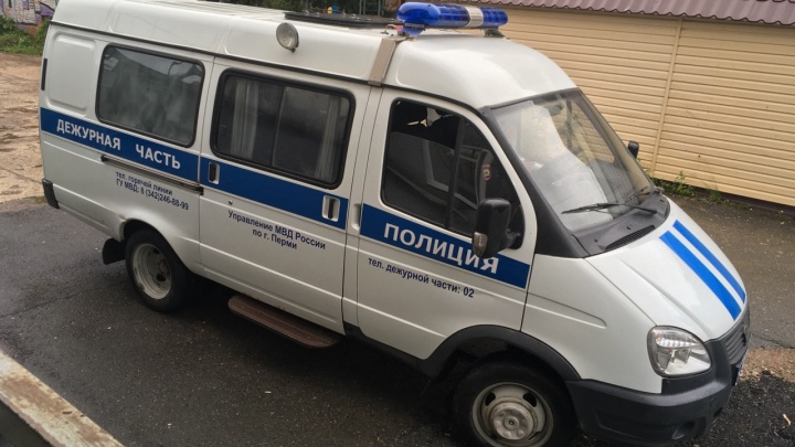 В Перми ищут пострадавших от мошенников: лжериелторы за плату предлагали в аренду несуществующие квартиры