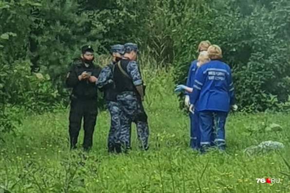 Тело мужчины нашли в кустах в посёлке Октябрьском в Ярославле Тело мужчины нашли в кустах в посёлке Октябрьском в Ярославле