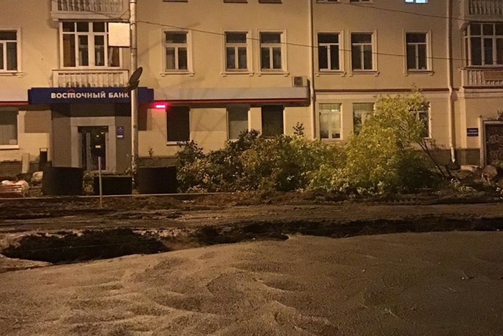 Вырубка деревьев, по словам очевидца, началась вечером 21 сентября Вырубка деревьев, по словам очевидца, началась вечером 21 сентября