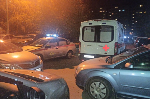 На место вызвали скорую помощь На место вызвали скорую помощь