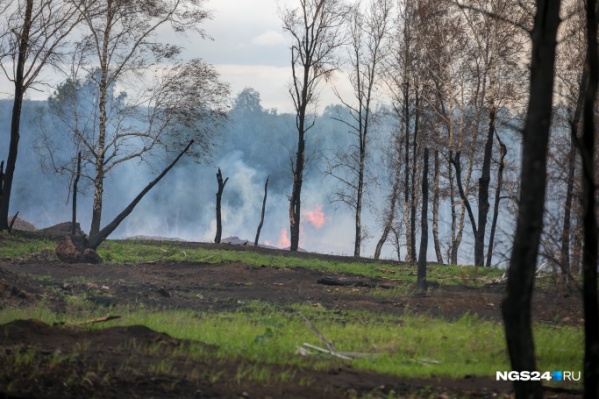 Причиной дымки назвали пожары в соседних регионах Причиной дымки назвали пожары в соседних регионах