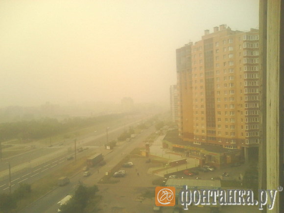 Петербург 8 августа 2010 года.