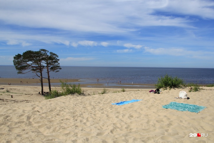 Как думаете, на пляжах у Белого моря этим летом будет ажиотаж?