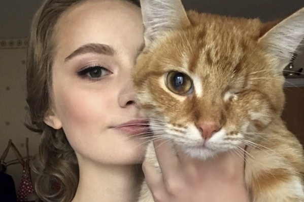 Для своих хозяев эти коты и кошки самые прекрасные Для своих хозяев эти коты и кошки самые прекрасные