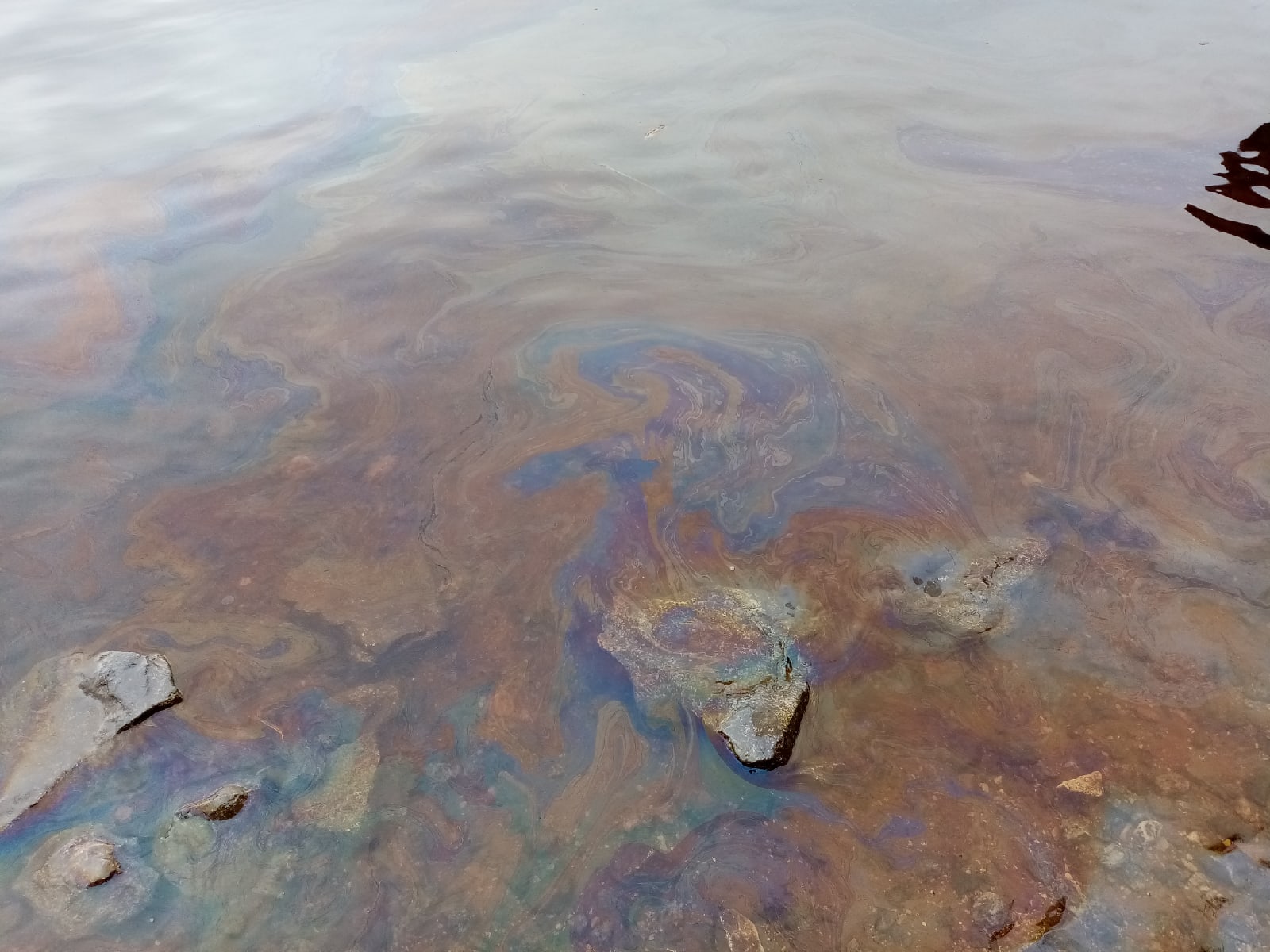 Снилось разлив воды. Нефть в воде. Разлив нефти. Загрязнение воды в Архангельской области. Разлитый мазут на поверхности.
