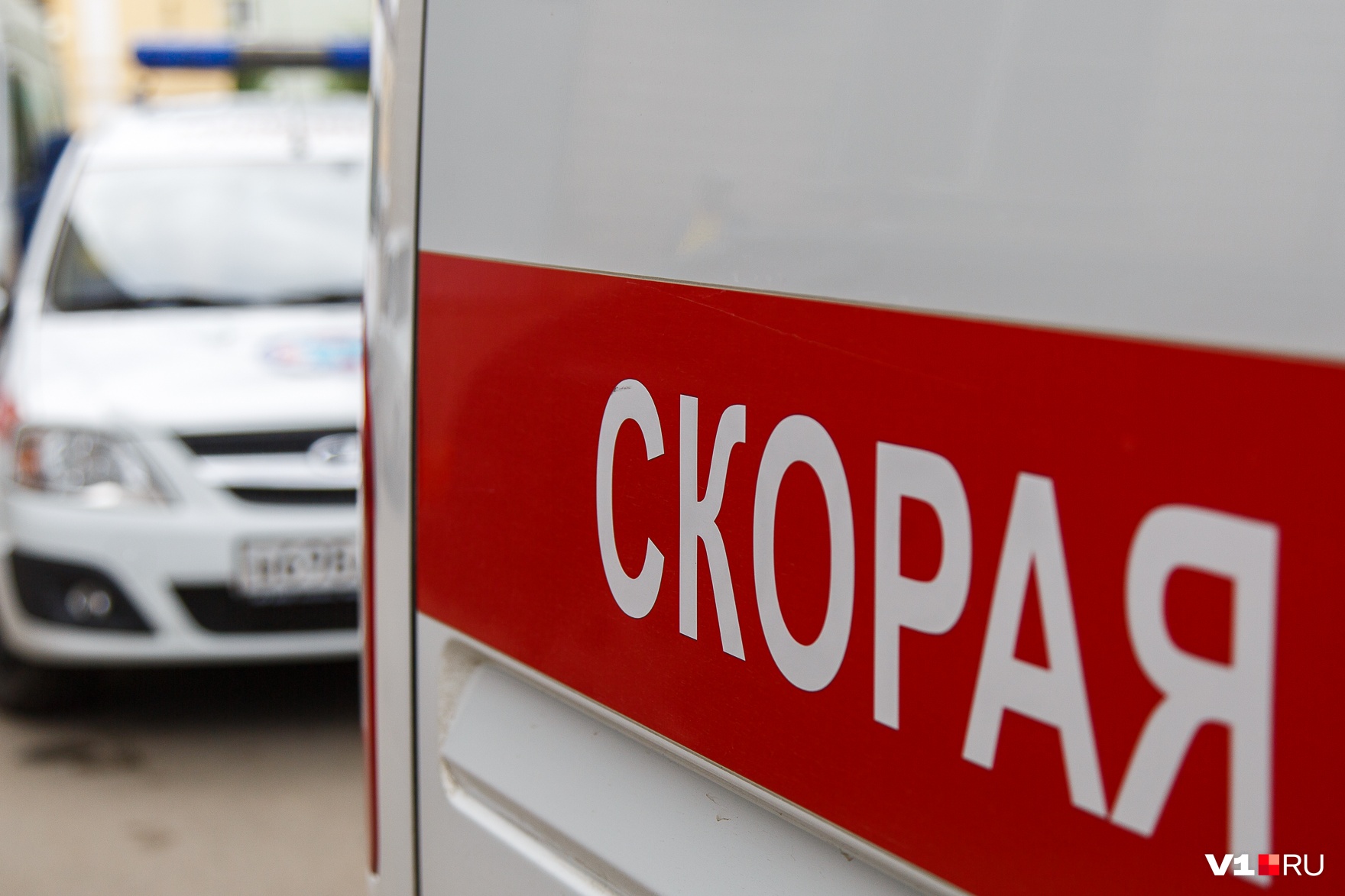 Водитель «Лады» погиб в Волгоградской области, сбив на дороге лошадь с жеребенком