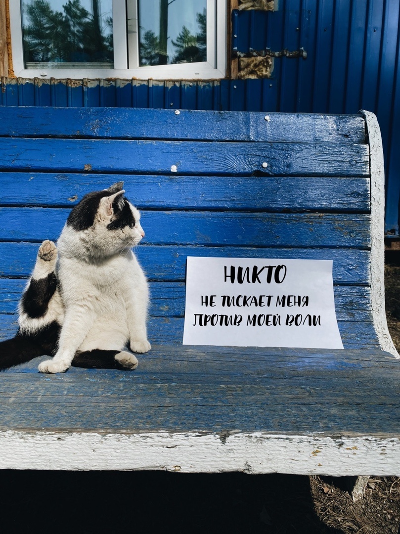 Не думаем, что кот этим недоволен Не думаем, что кот этим недоволен