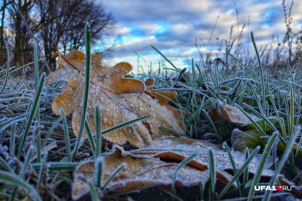 Температура упадет ниже <nobr class="_">0 °C</nobr> Температура упадет ниже <nobr class="_">0 °C</nobr>