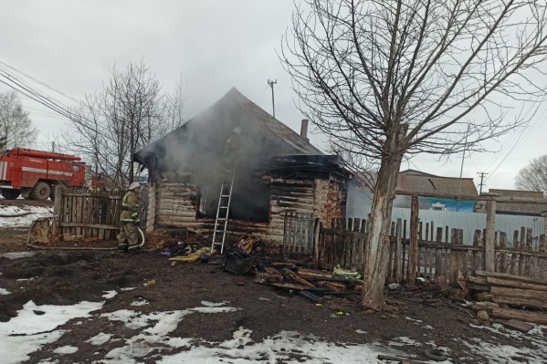 Где были родители малышей, пока неизвестно Где были родители малышей, пока неизвестно