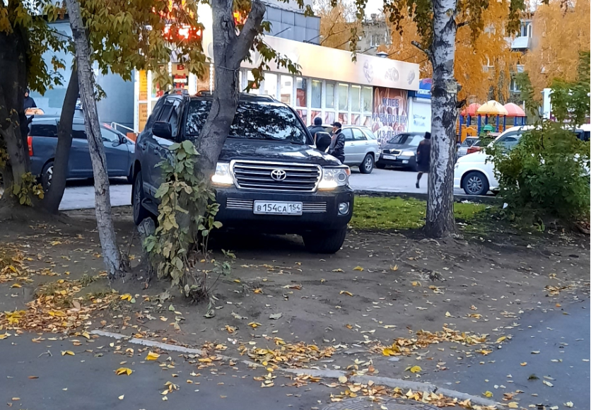 Припарковался среди деревьев Припарковался среди деревьев