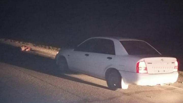 Ночью водитель на Mazda Familia насмерть сбил женщину, которая перебегала дорогу в Коченёво