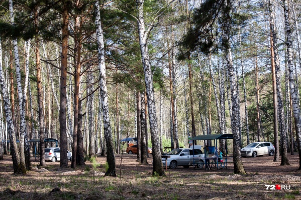 Запрет посещать парки тюменцы нарушили еще в начале майских праздников Запрет посещать парки тюменцы нарушили еще в начале майских праздников