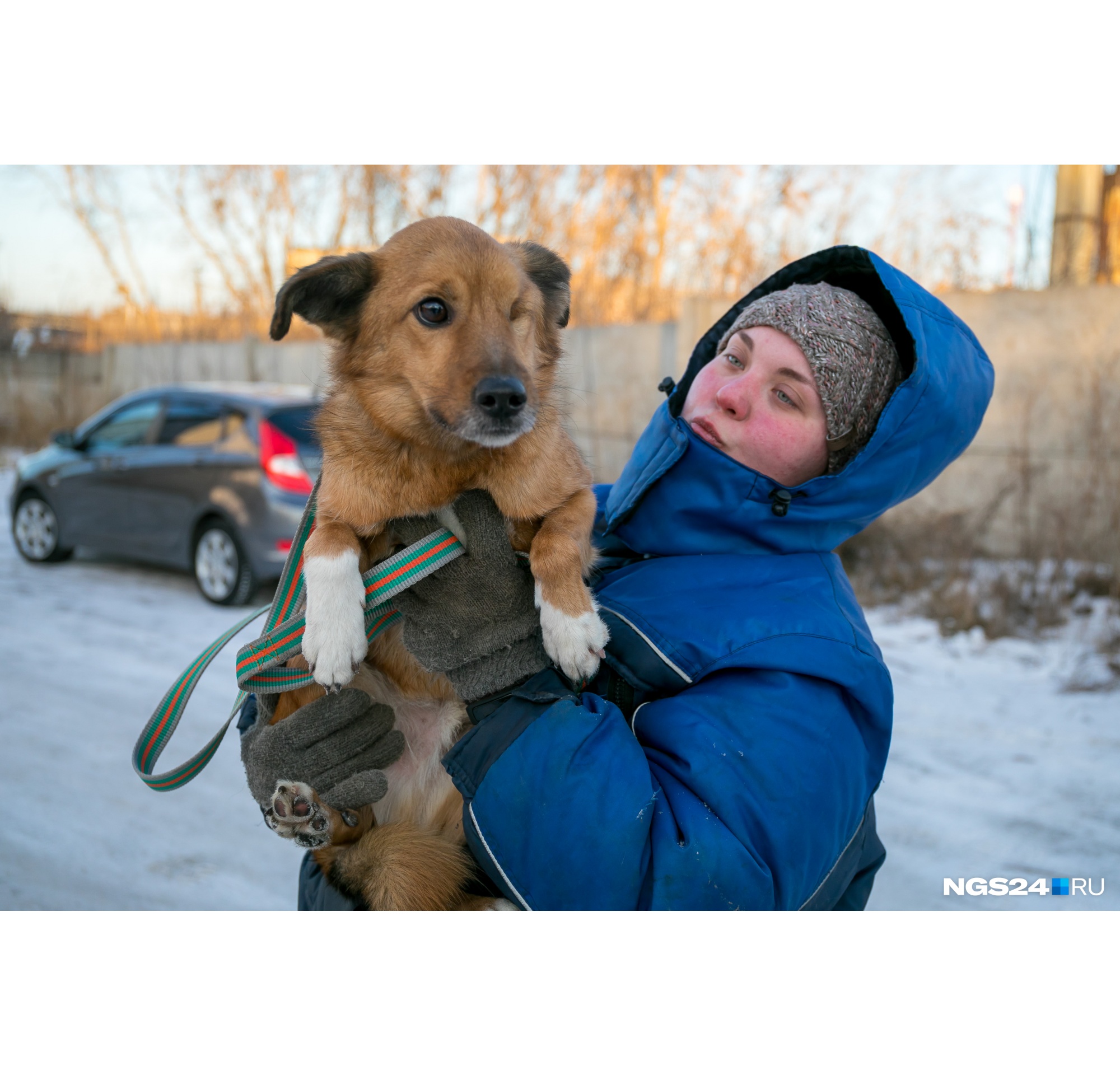 Джек очень милый пес, несмотря на свое увечье Джек очень милый пес, несмотря на свое увечье