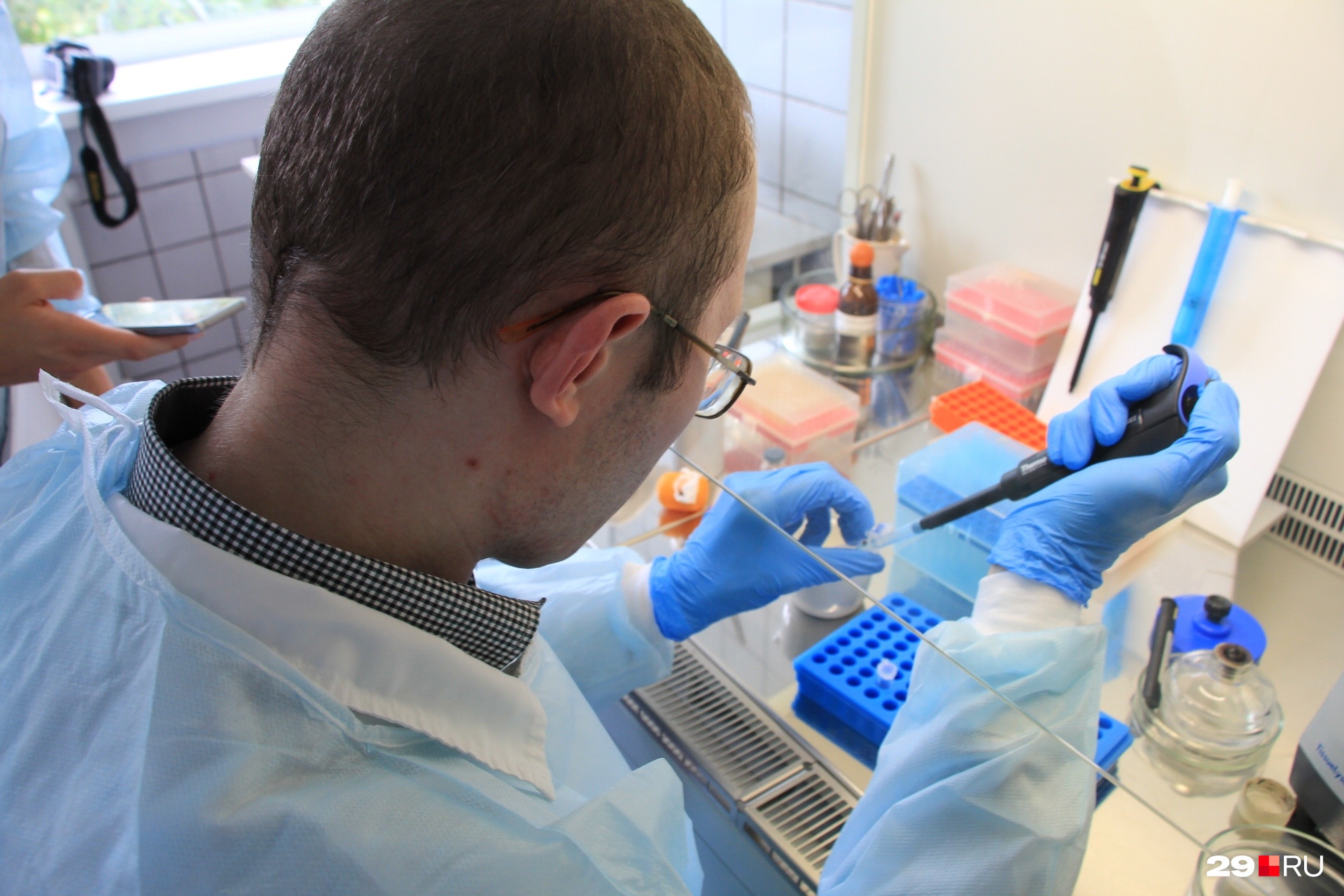 архангельск пройти тест. архангельск пройти тест. эксперестест на ковид в аптеке. курсы по созданию игр в архангельске. тест на вич архангельск.