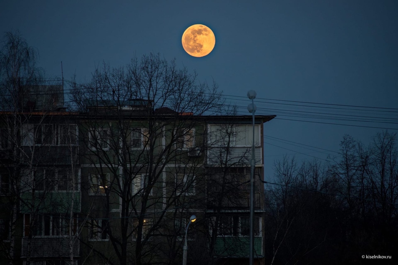 «Неизданное | ДТП и ЧП | Санкт-Петербург» / vk.com/spb_today_unpublished