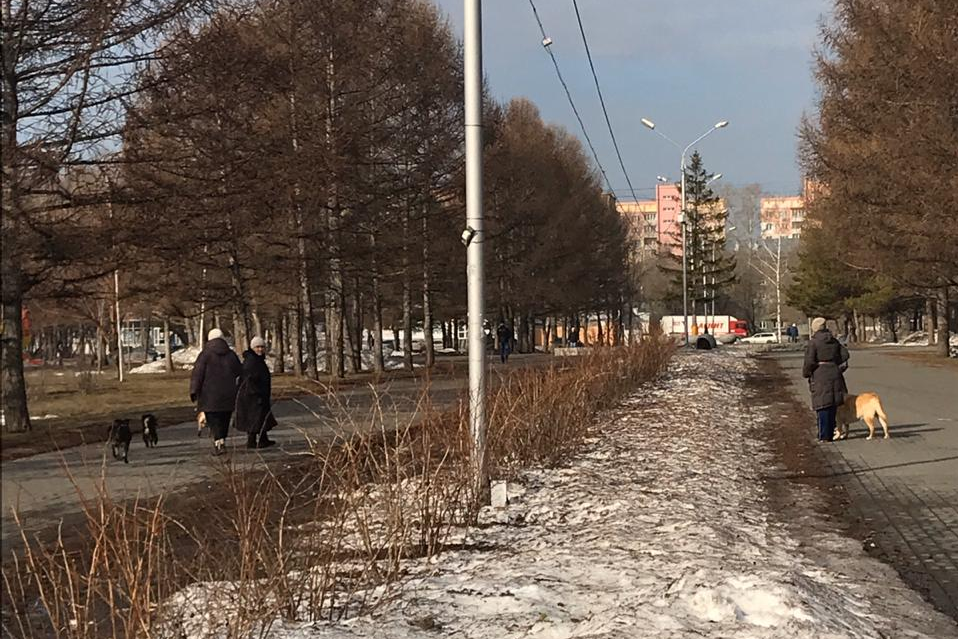 Больше песиков можно <a href="https://news.ngs.ru/more/69064915/" target="_blank" class="_">посмотреть тут</a> Больше песиков можно <a href="https://news.ngs.ru/more/69064915/" target="_blank" class="_">посмотреть тут</a>