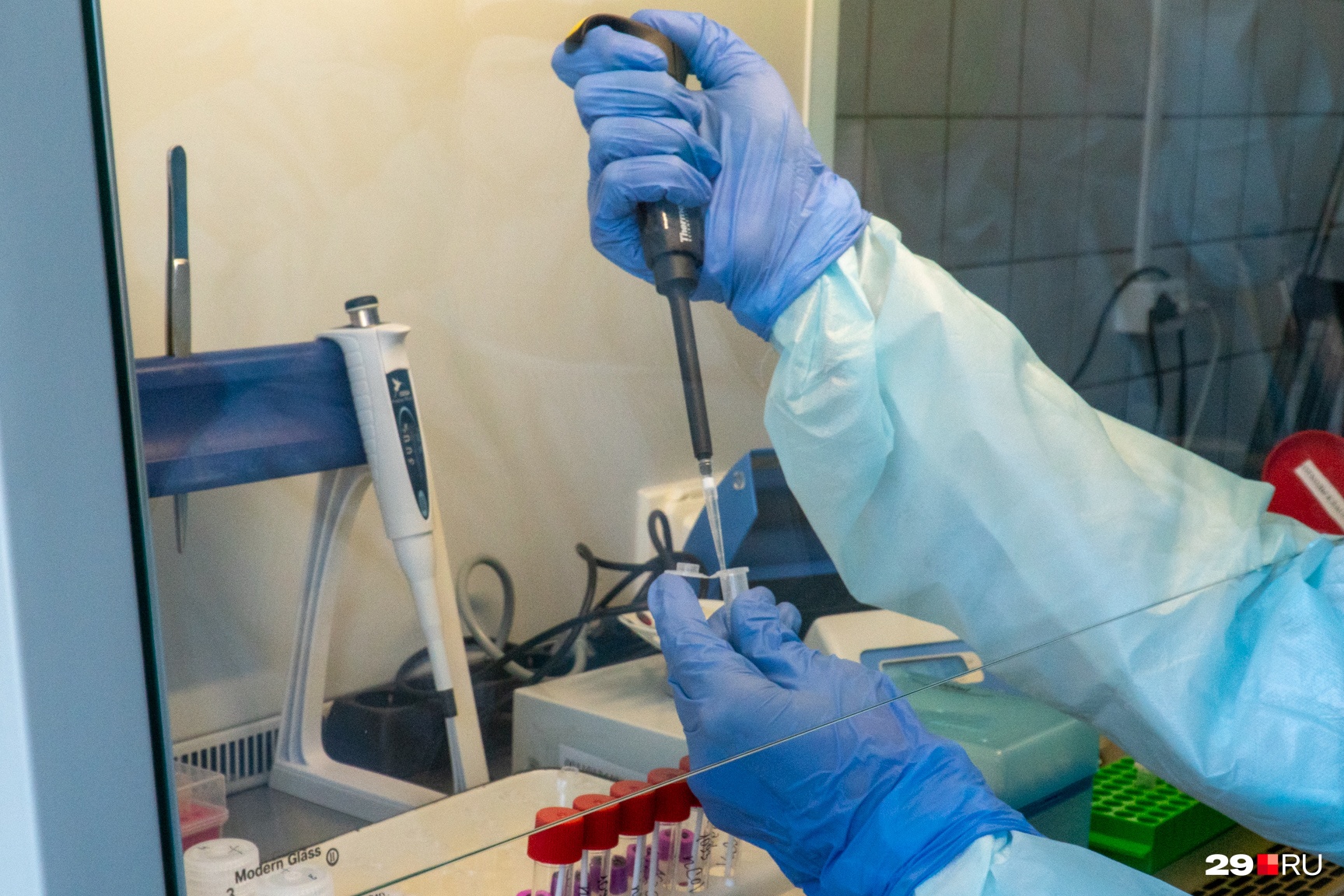 Почему так много заболевших по вине простейших. Что делать если заболел. Сон больного. Болезнь пищевого расстройства. Почему так много заболевших по вине простейших.