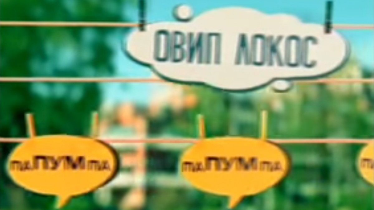 Вопрос с подсказкой. Внимательно посмотрите на кадр. «Овип локос» — это что?