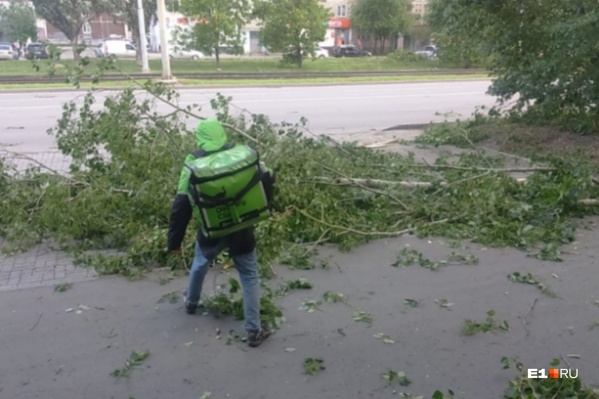 Горожане уверены, что такого в Екатеринбурге еще не было, но ученые говорят, что это не так Горожане уверены, что такого в Екатеринбурге еще не было, но ученые говорят, что это не так