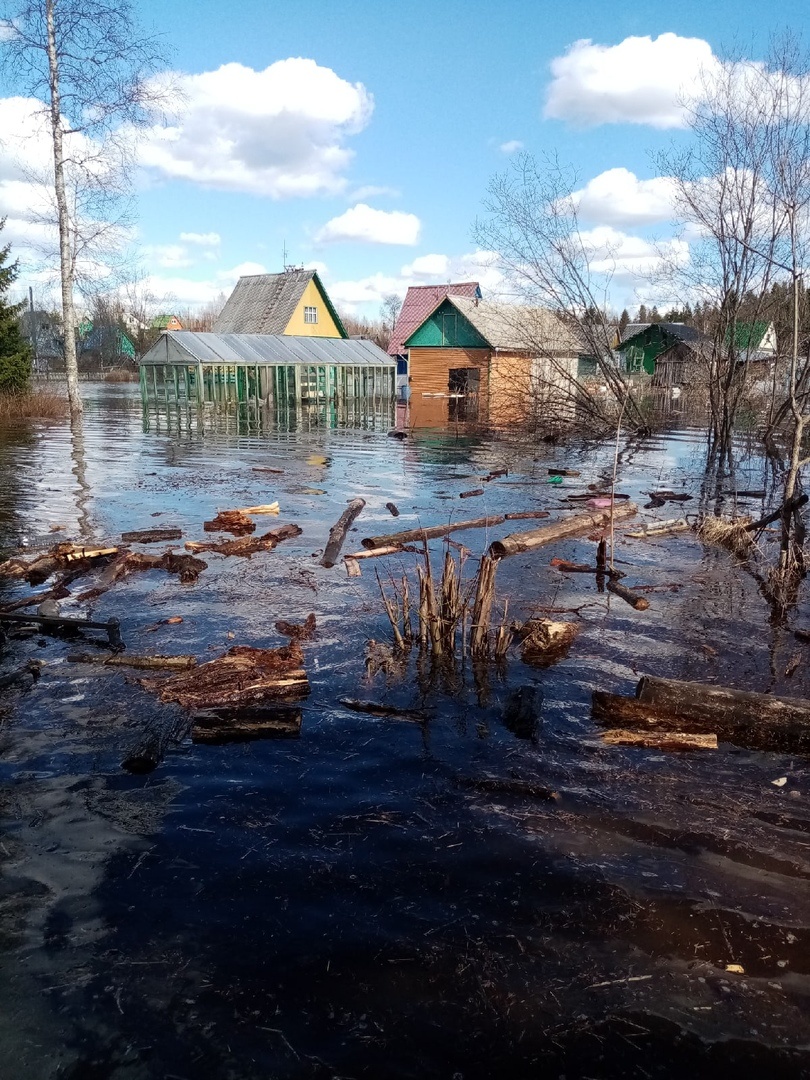 Теплицы и хозпостройки тоже в воде<br> Теплицы и хозпостройки тоже в воде<br>
