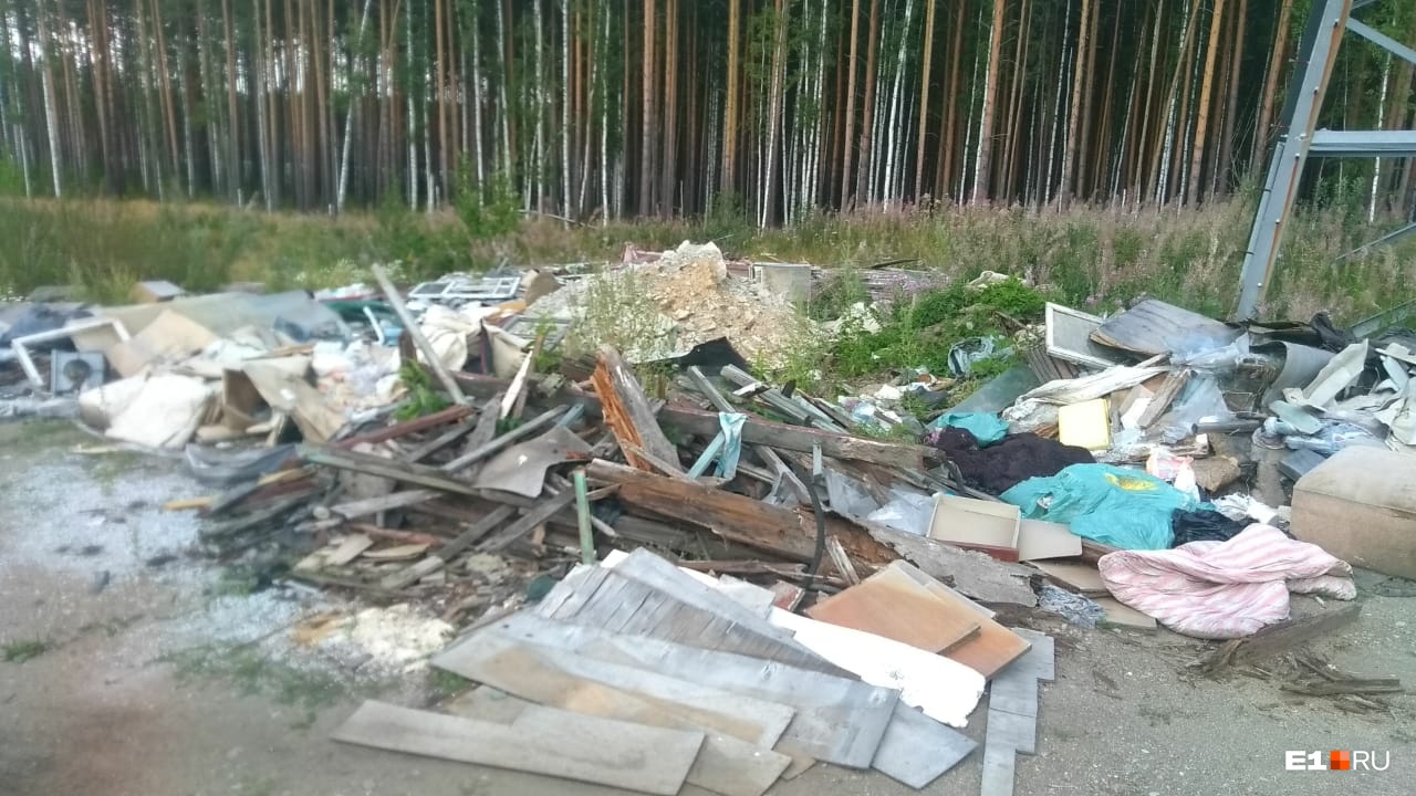 В Екатеринбурге на мусорке нашли выброшенные медицинские документы