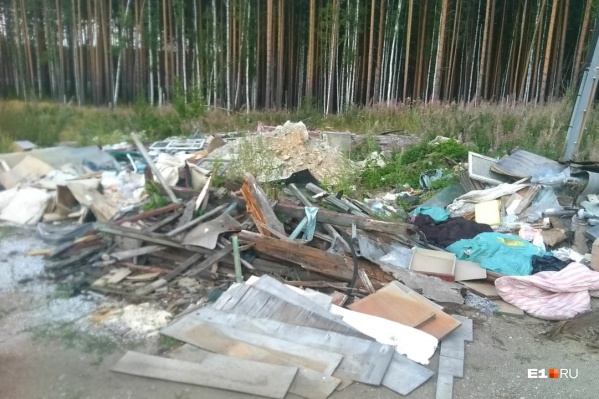 Екатеринбуржец обнаружил несколько пакетов с медицинскими документами Екатеринбуржец обнаружил несколько пакетов с медицинскими документами 
