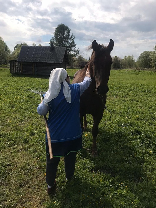 Елена Николаевна